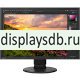 Монитор EIZO CS2400S